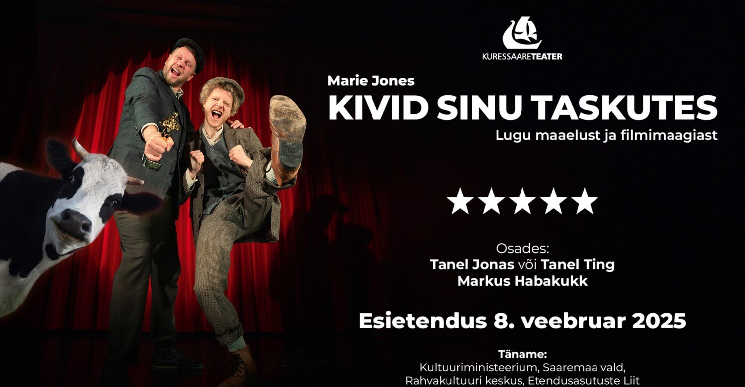Marie Jones "Kivid sinu taskutes"
