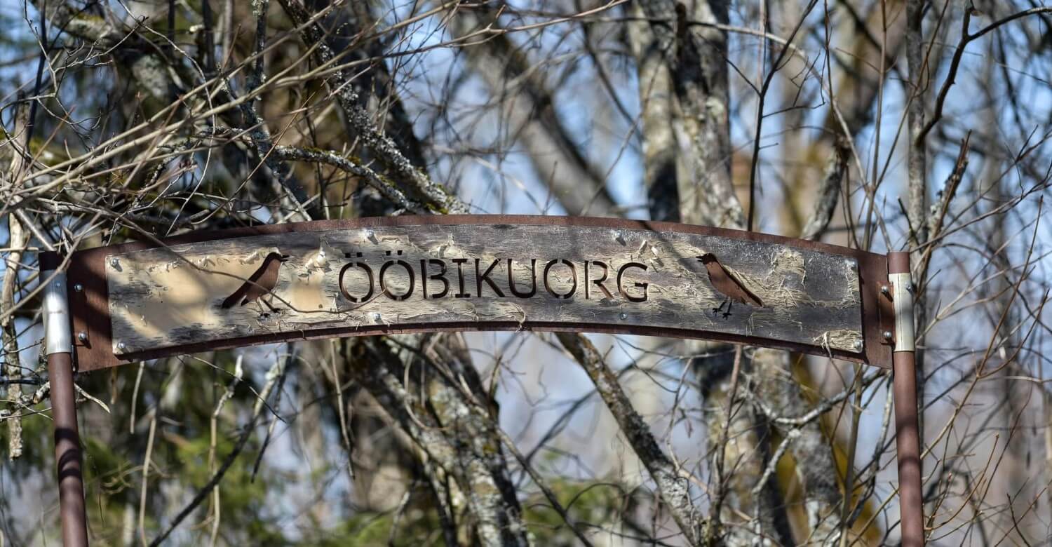 Minikontsert ja giidituur Ööbikuorgu