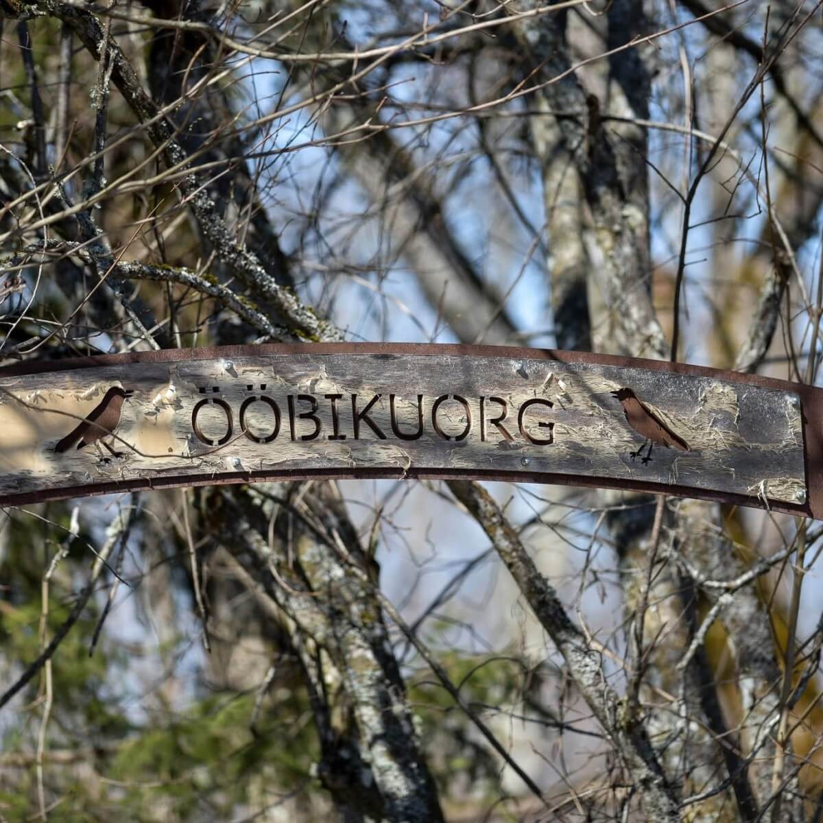 Minikontsert ja giidituur Ööbikuorgu