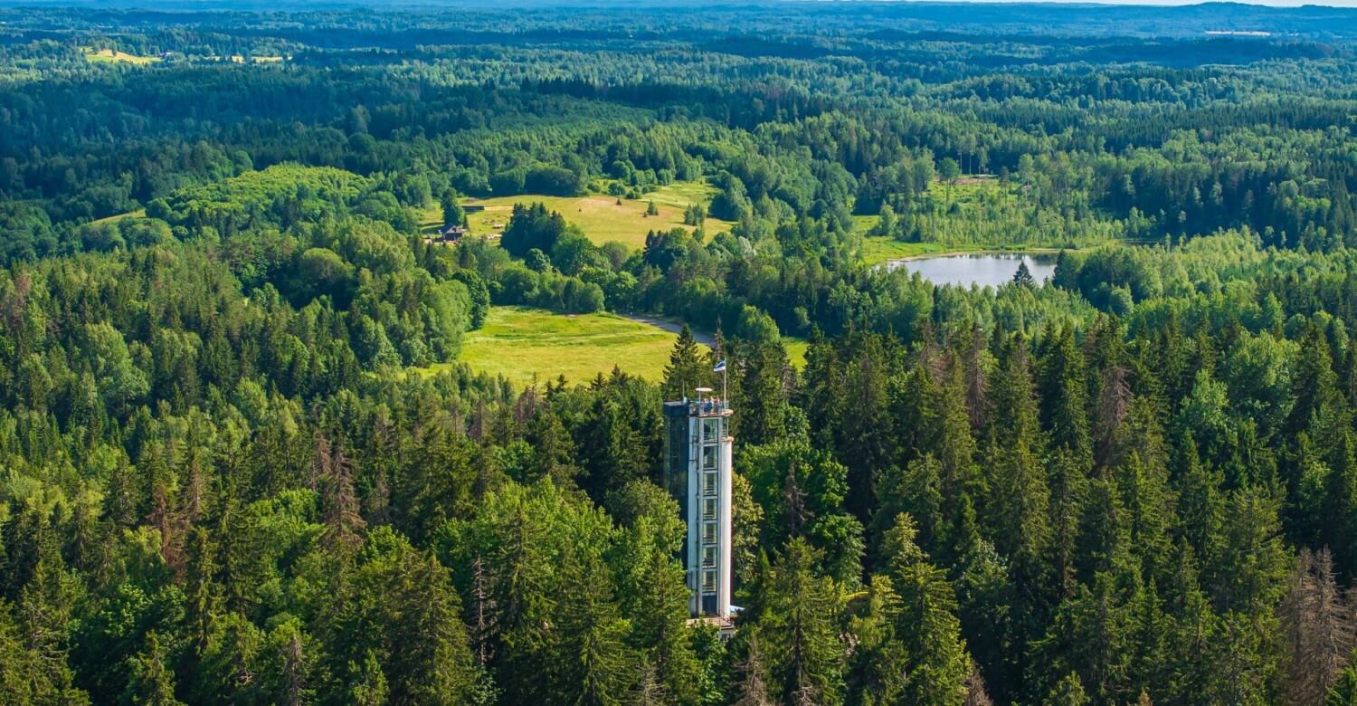 Minikontsert Suures Munas ja giidituur Suurele Munamäele III