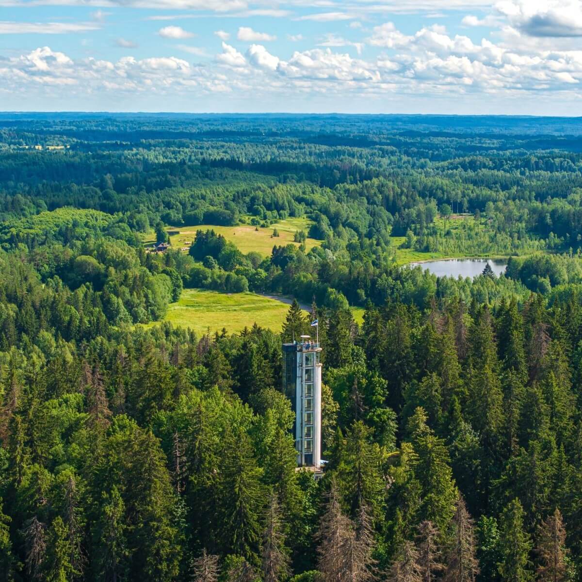 Minikontsert Suures Munas ja giidituur Suurele Munamäele III