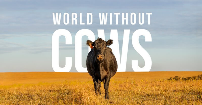Dokumentaalfilmi "World without cows" esilinastus Eestis